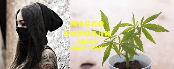 винт Новозыбков