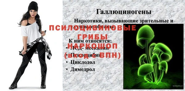 винт Новозыбков