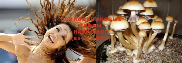 винт Новозыбков